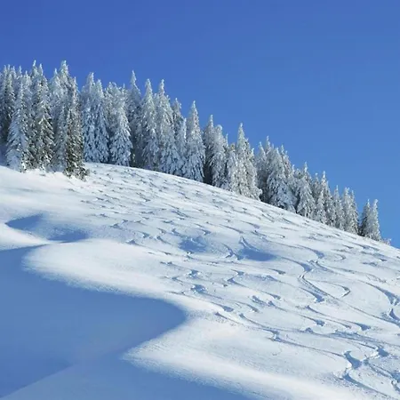 Luxury In Hinterglemm With Sauna Chalet