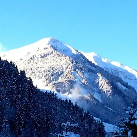 Luxury In Hinterglemm With Sauna * Saalbach-Hinterglemm